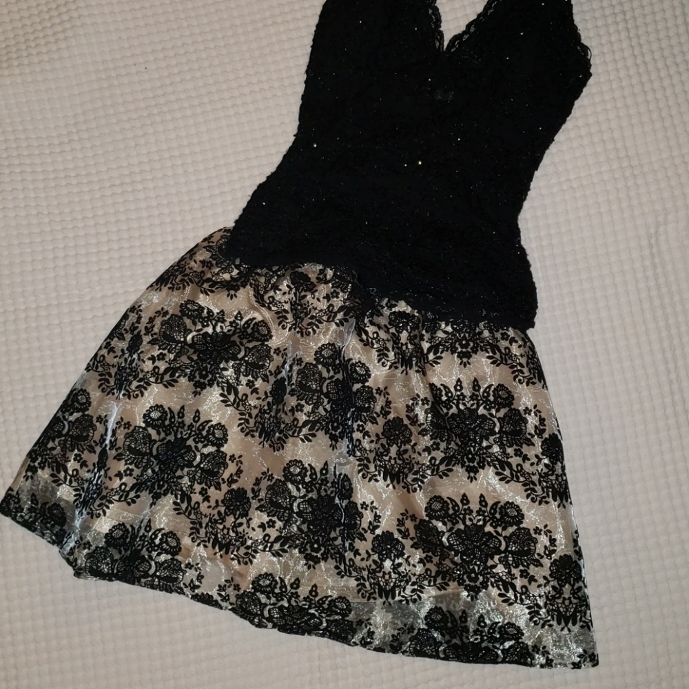 NWT EXPRESS full skirt blush black mesh M